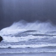 tofino