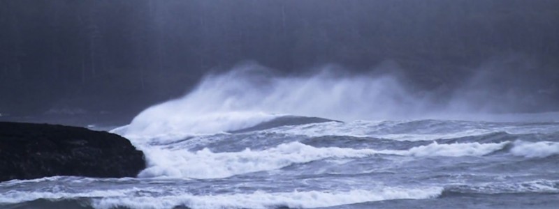tofino