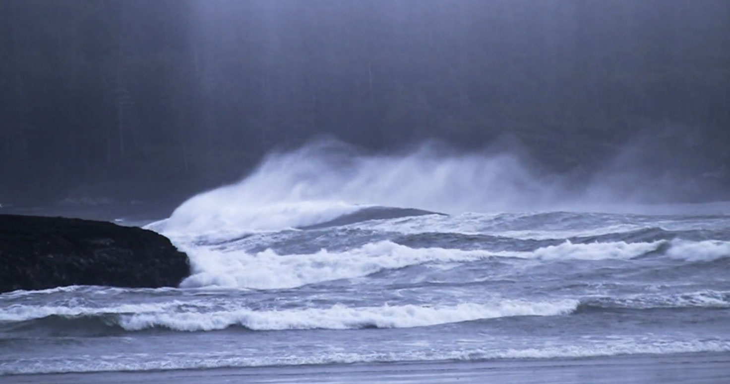 tofino